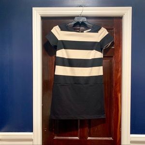 Ann Taylor LOFT Black & Cream shift dress. Size 2